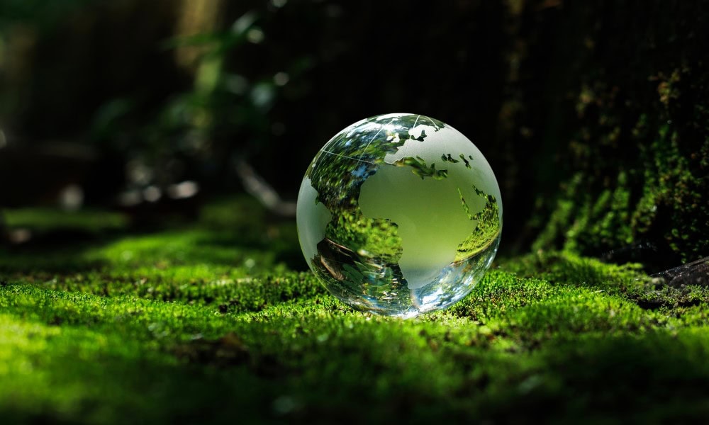 5 einfache Schritte für eine nachhaltigere Website